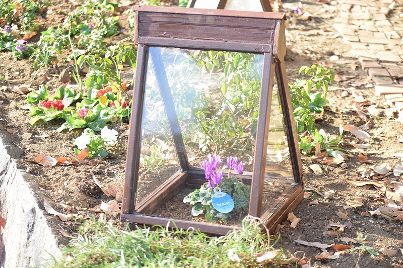 あけぼの山農業公園・あけぼの山公園 | 【花壇の冬支度】2025年12月21日